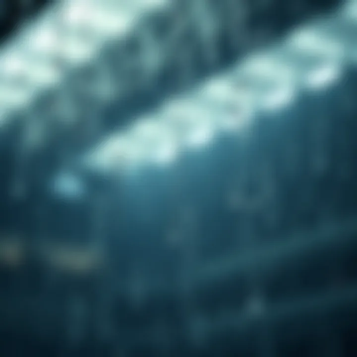 Rain as a Symbol of Luck Exploring the symbolism of rain and luck